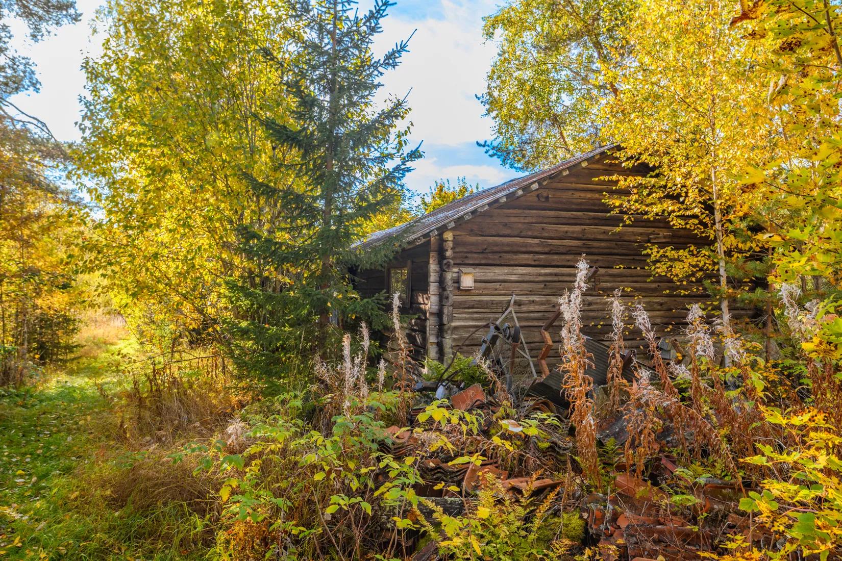 Gård/Skog,  Norrgården 309, Nordanstig