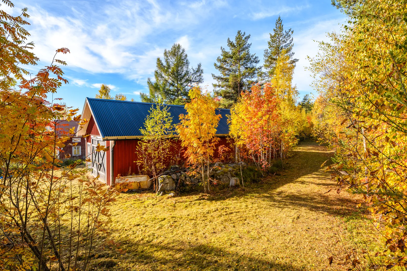 Gård/Skog,  Norrgården 309, Nordanstig
