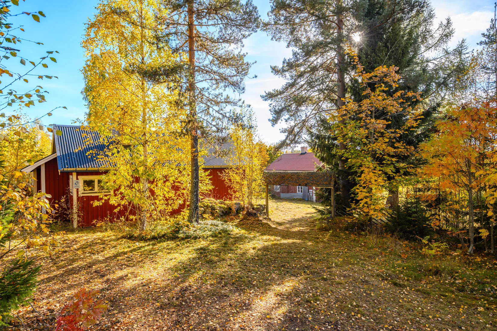 Gård/Skog,  Norrgården 309, Nordanstig