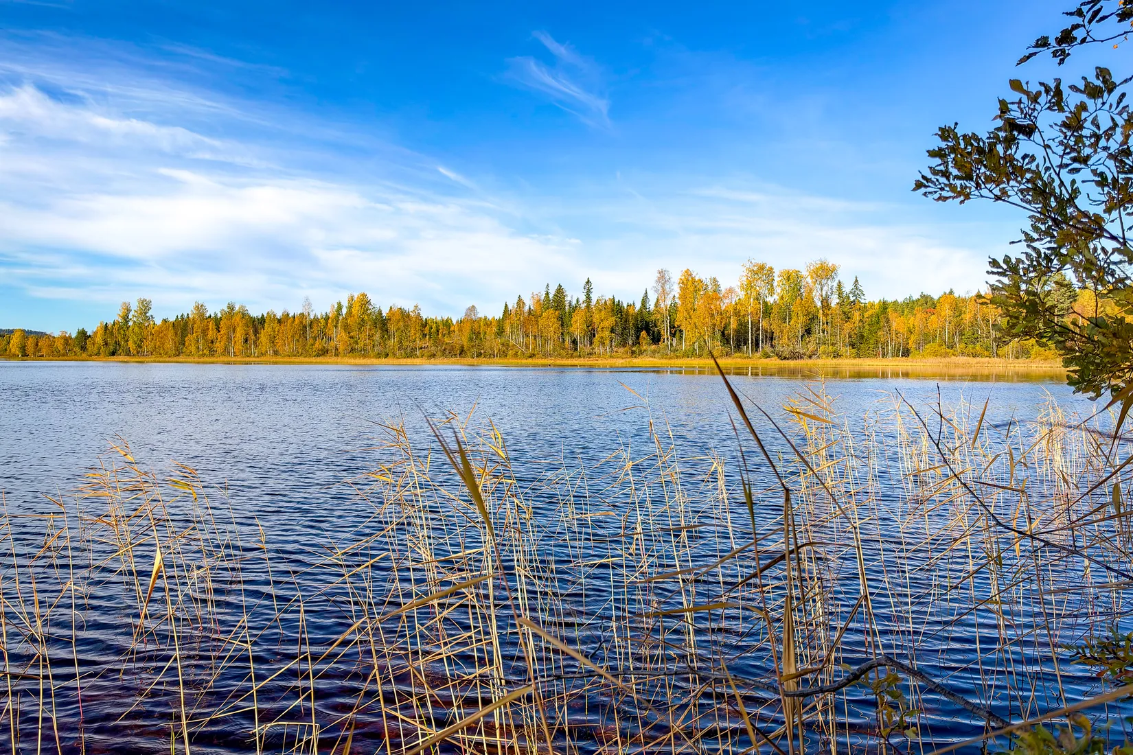 Gård/Skog,  Norrgården 309, Nordanstig