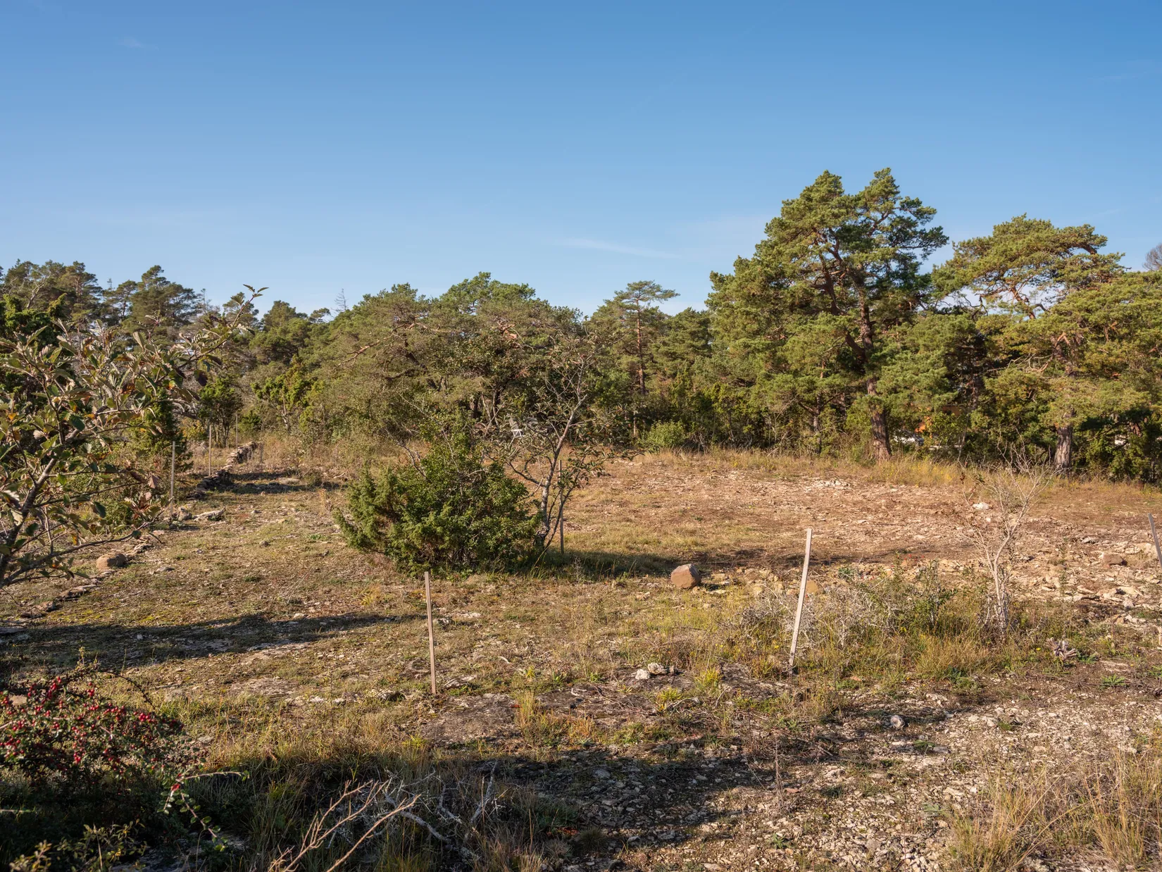 Tomt, Ygne Lillklintsvägen 43, Västerhejde, Gotland