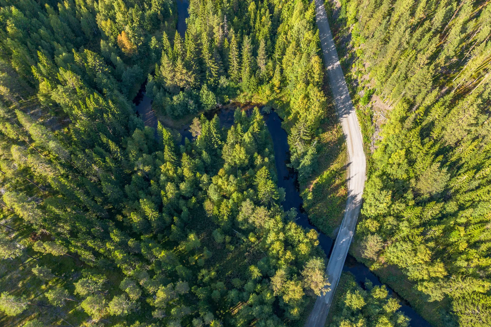Gård/Skog, Vallen 305, Sollefteå