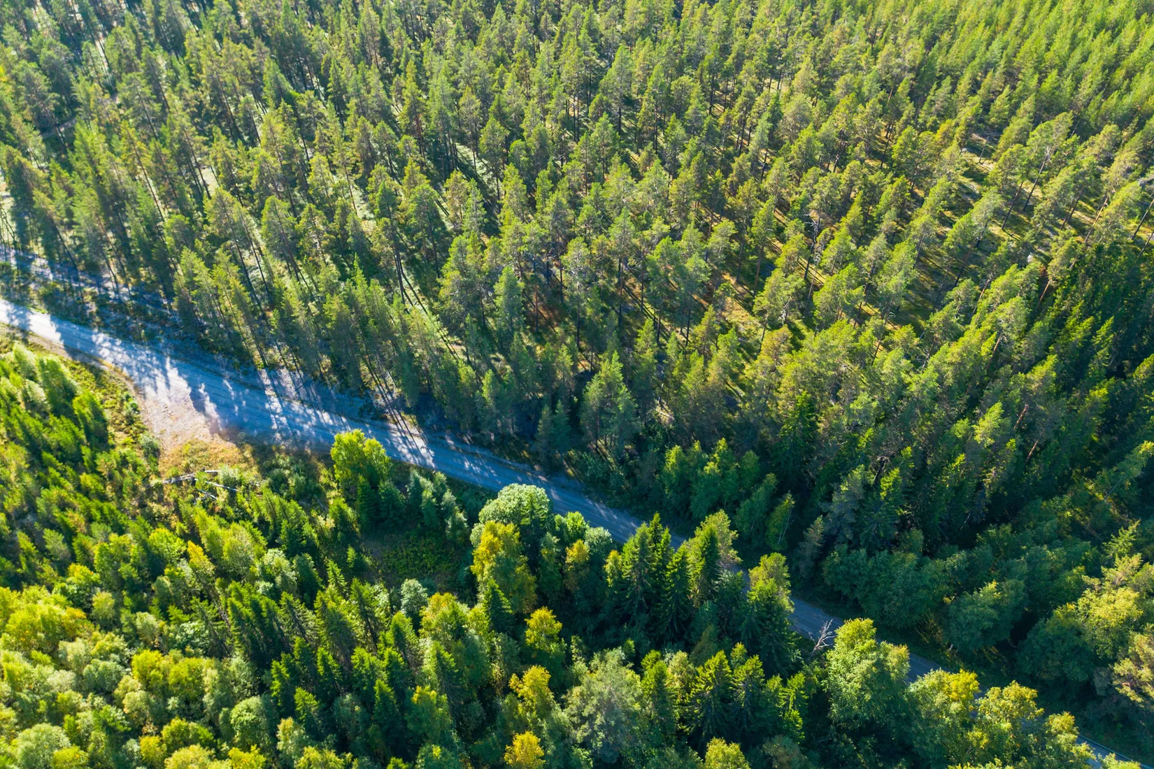 Gård/Skog, Vallen 305, Sollefteå
