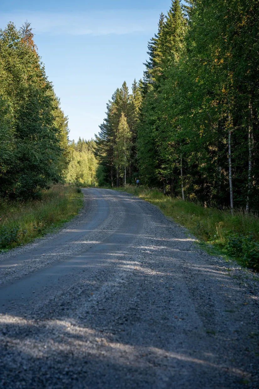 Gård/Skog, Vallen 305, Sollefteå