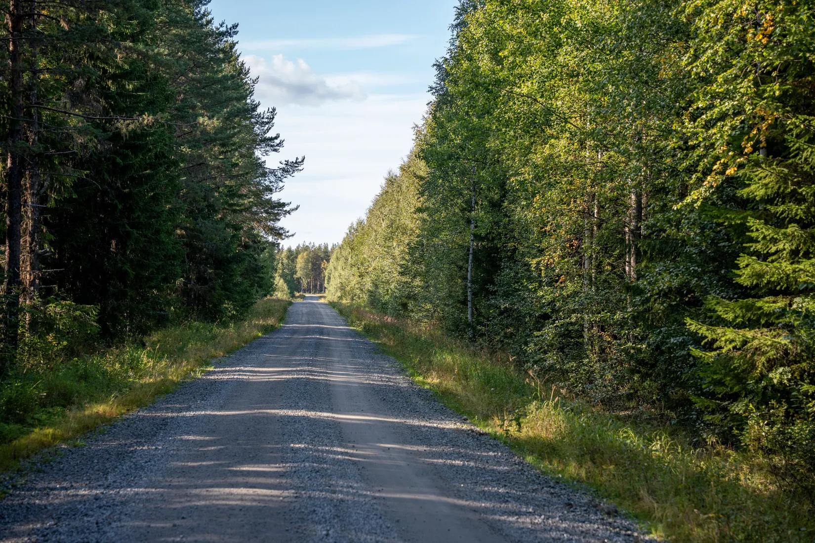 Gård/Skog, Vallen 305, Sollefteå