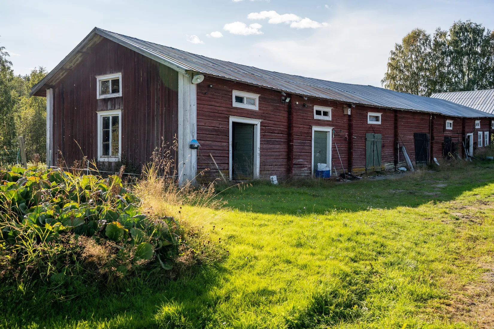Gård/Skog, Vallen 305, Sollefteå