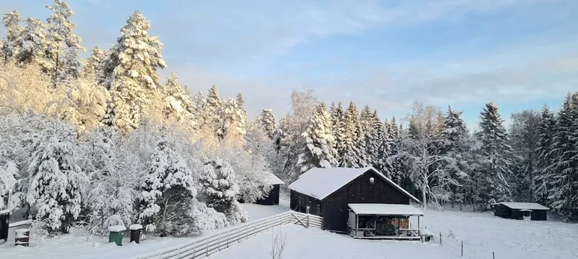 Villa, Svinedalen 1, Strömstad
