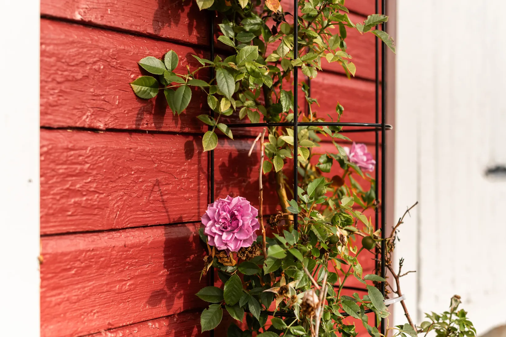 Villa, Västra Lundsgatan 16, Västra Lund, Motala