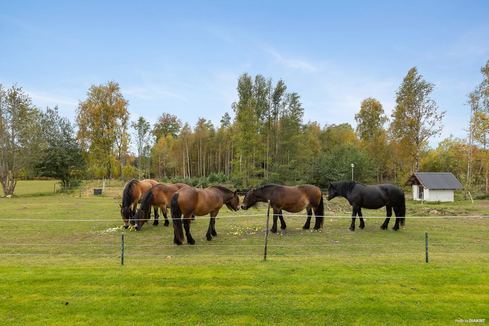 Fritidshus, Söråsen 1, Laxå