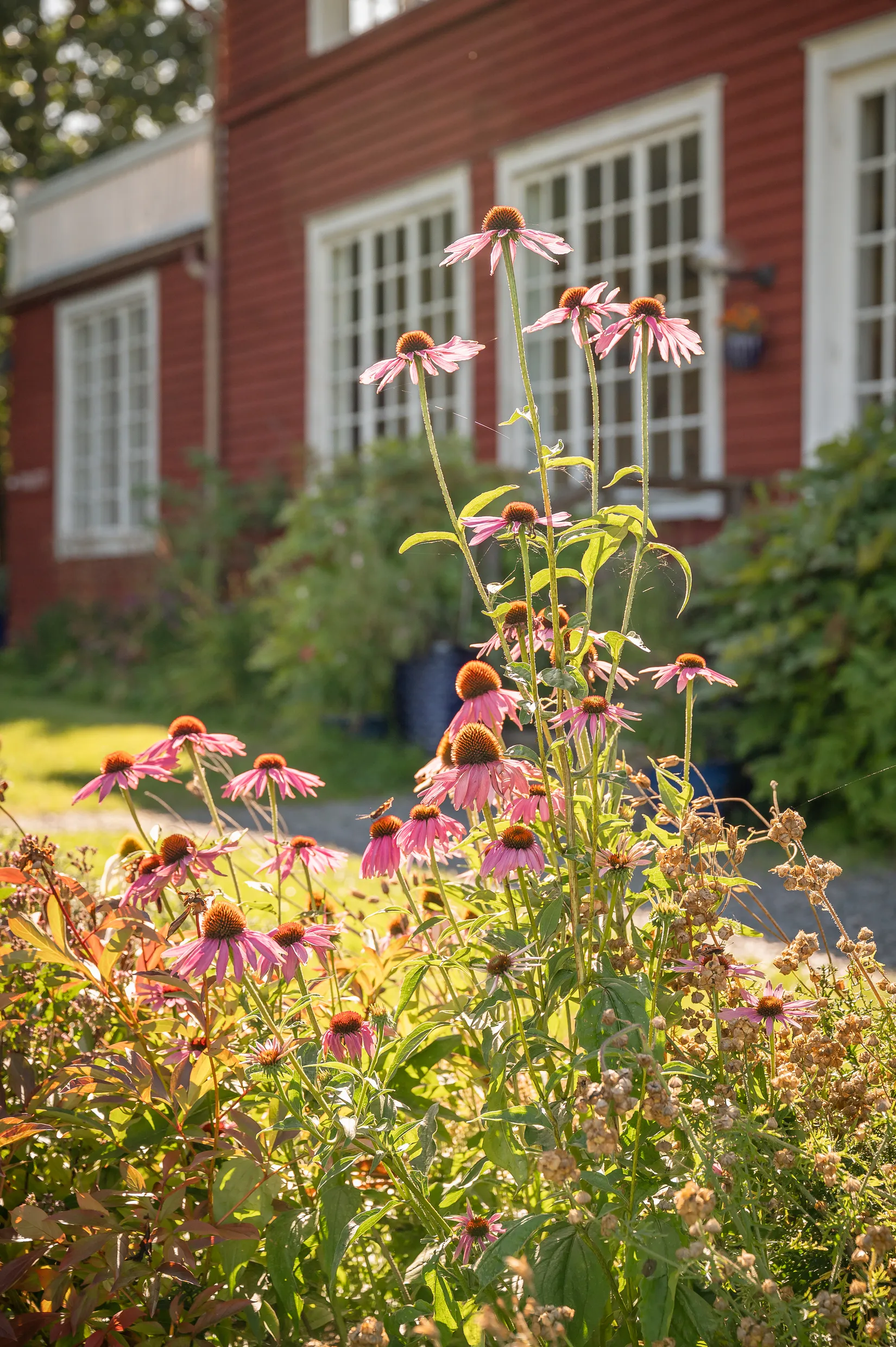Villa, Brunnsvägen 21A, Västra Ämtervik, Sunne