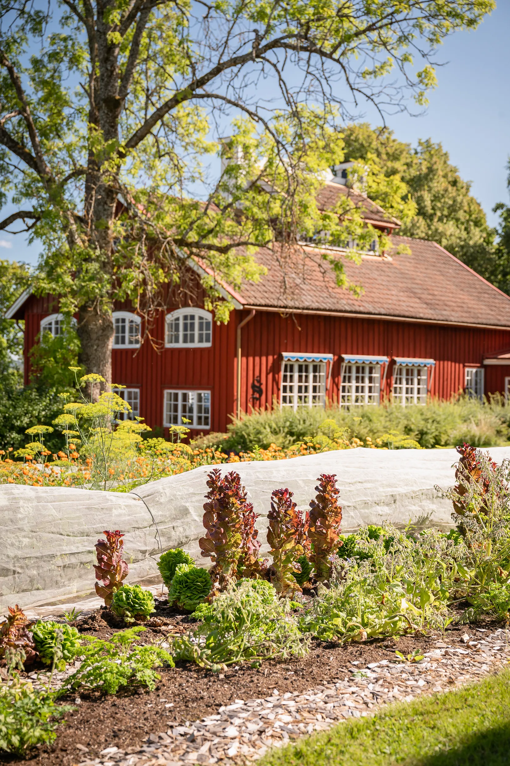 Villa, Brunnsvägen 21A, Västra Ämtervik, Sunne