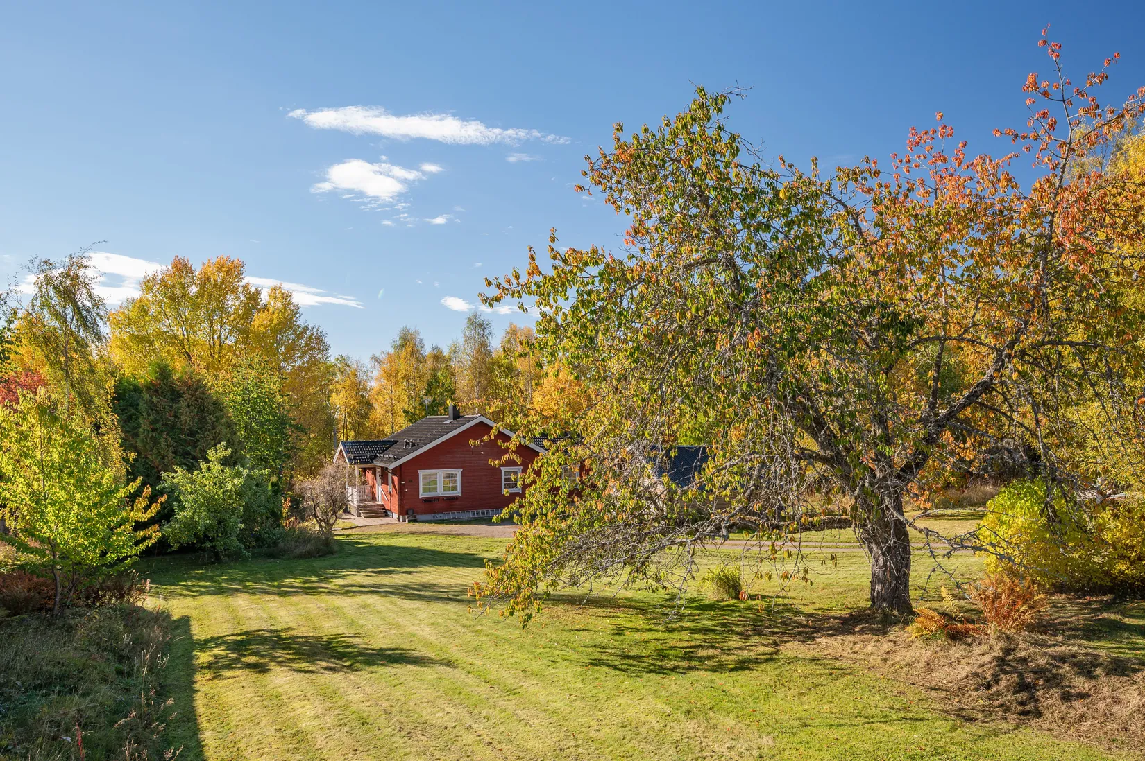 Gård/Skog, Vintjärn 84, Vintjärn, Falun