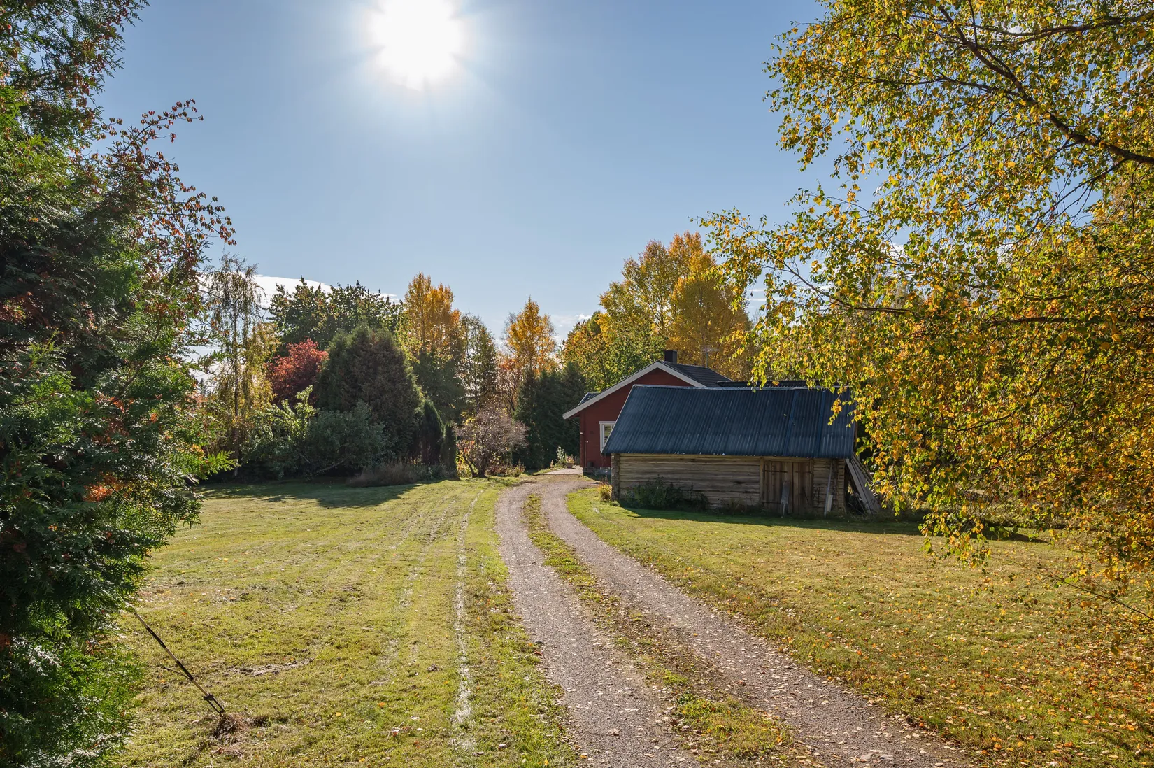 Gård/Skog, Vintjärn 84, Vintjärn, Falun
