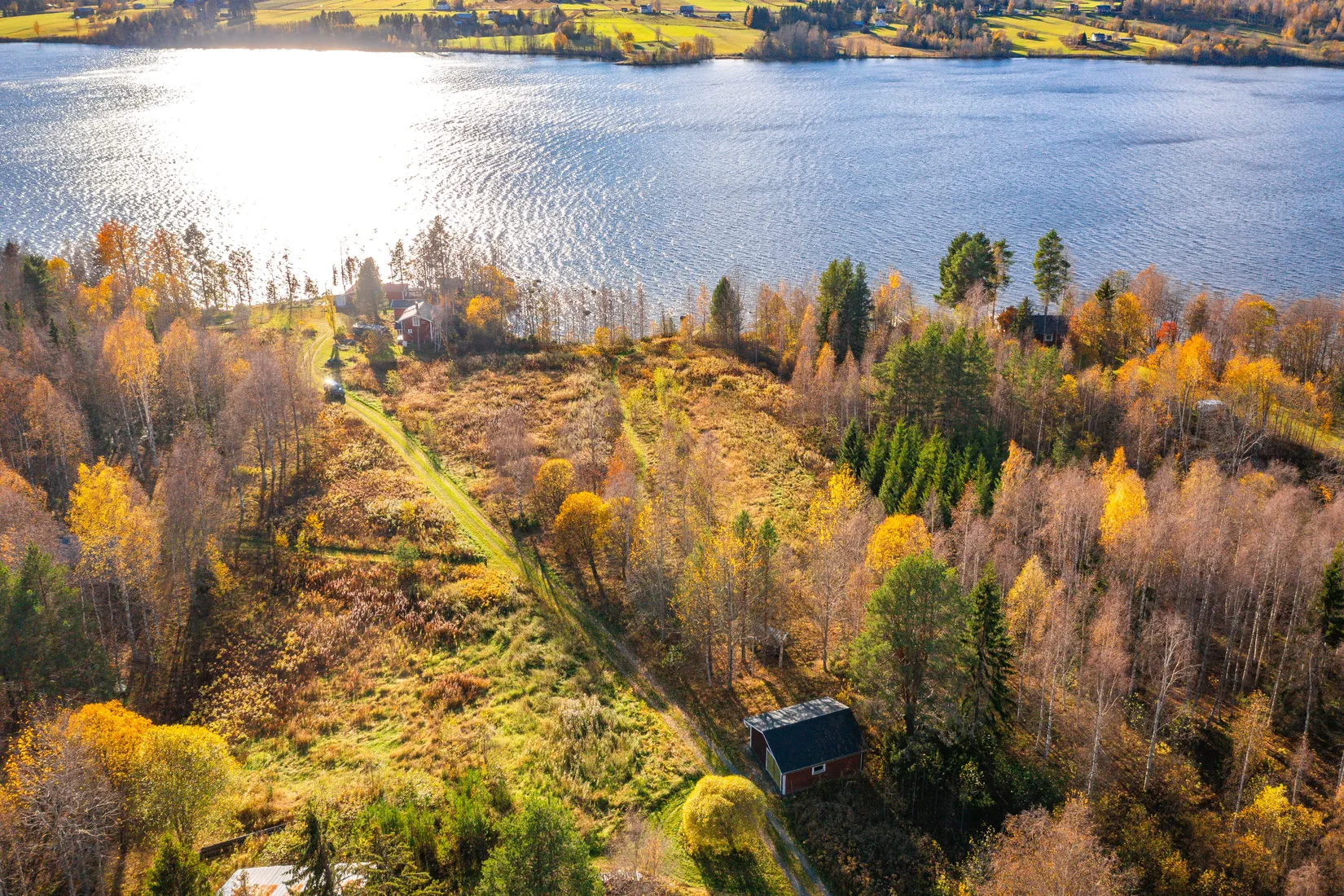 Gård/Skog, Fanby 107, Sollefteå