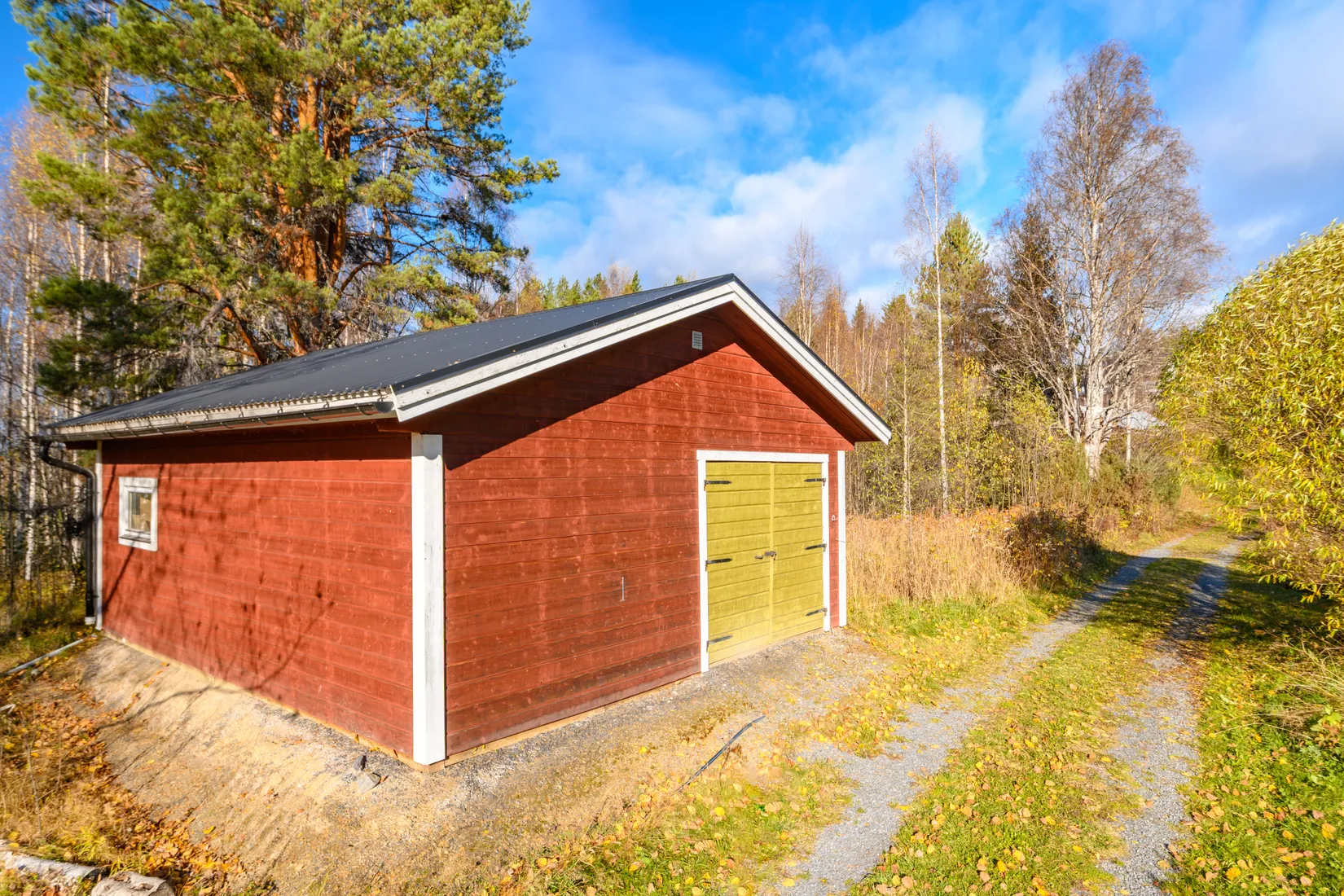 Gård/Skog, Fanby 107, Sollefteå