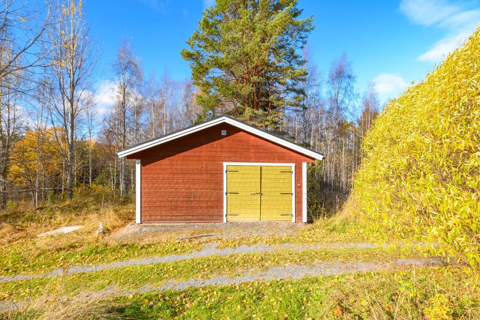 Gård/Skog, Fanby 107, Sollefteå