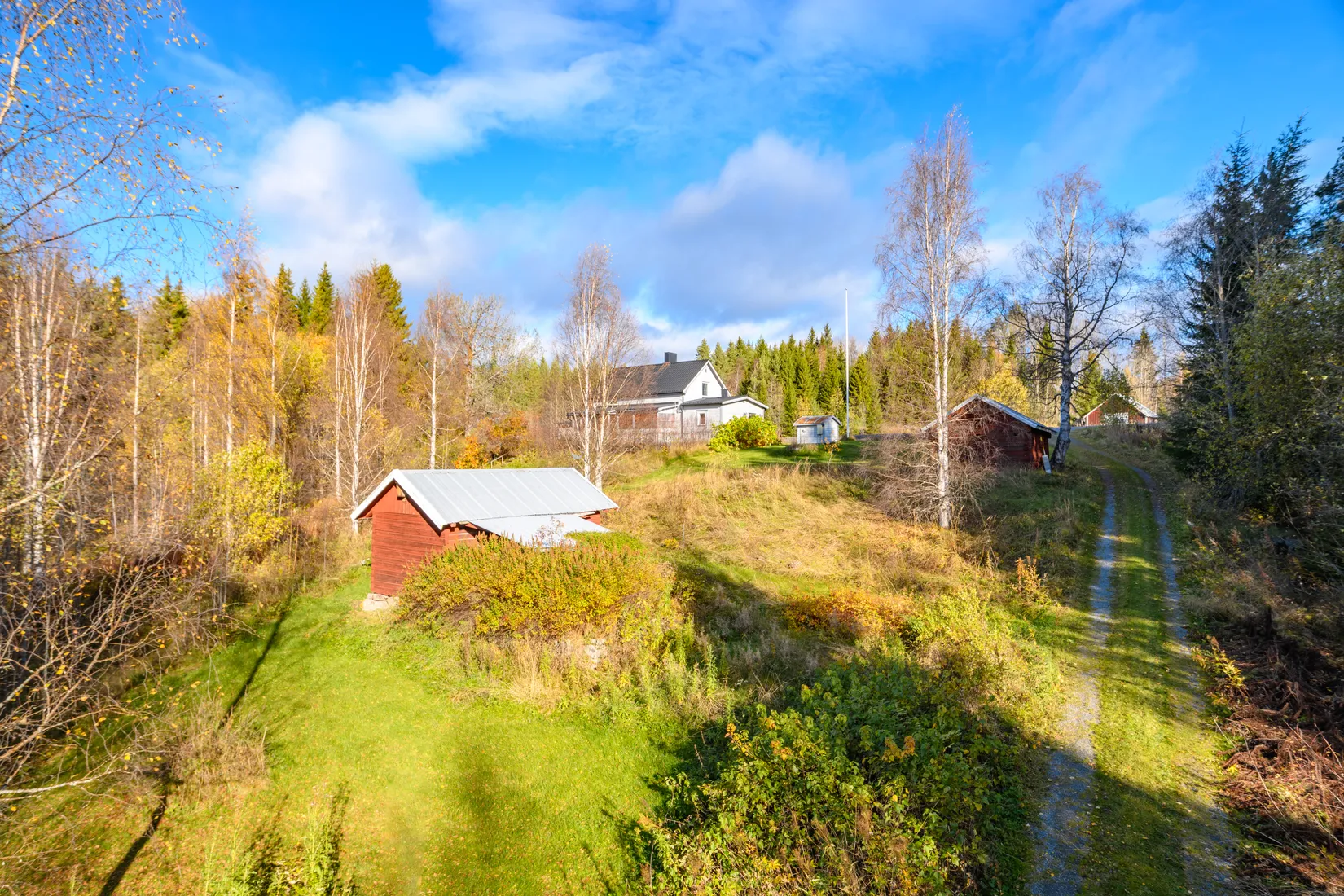 Gård/Skog, Fanby 107, Sollefteå