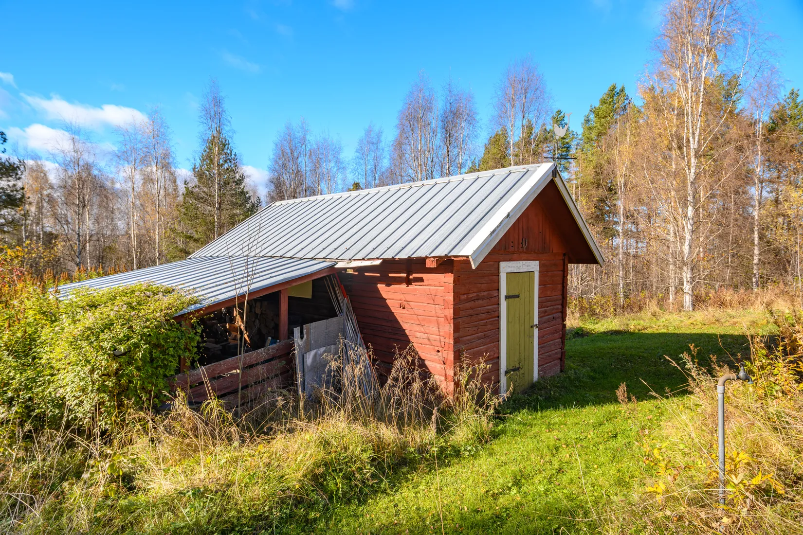 Gård/Skog, Fanby 107, Sollefteå