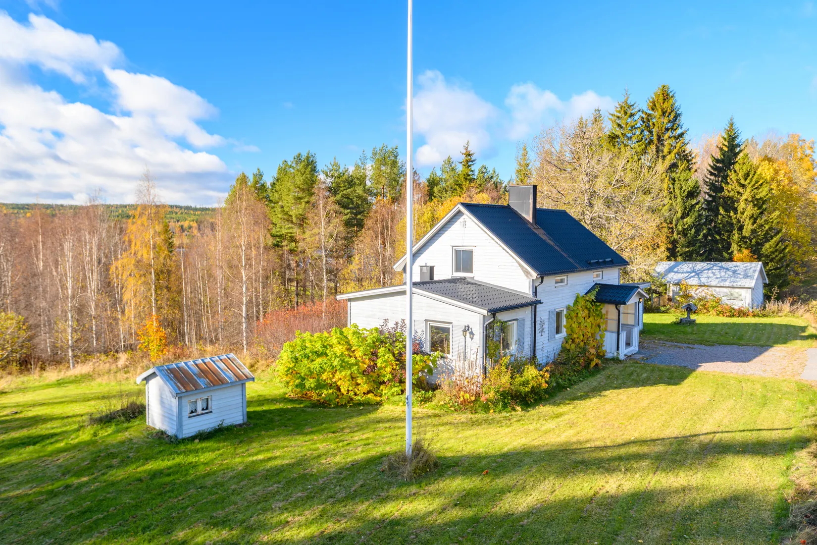 Gård/Skog, Fanby 107, Sollefteå