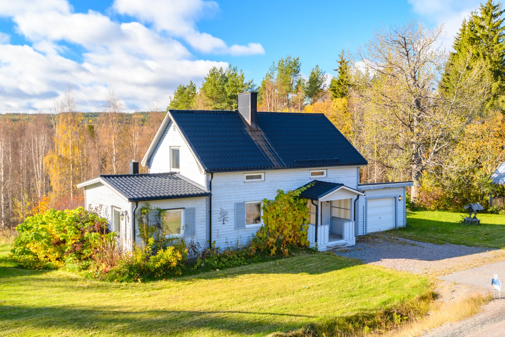 Gård/Skog, Fanby 107, Sollefteå