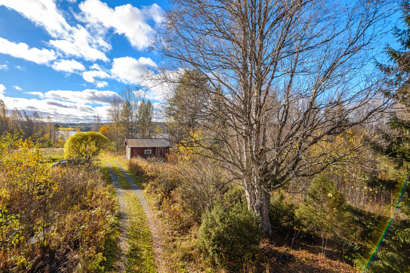 Gård/Skog, Fanby 107, Sollefteå