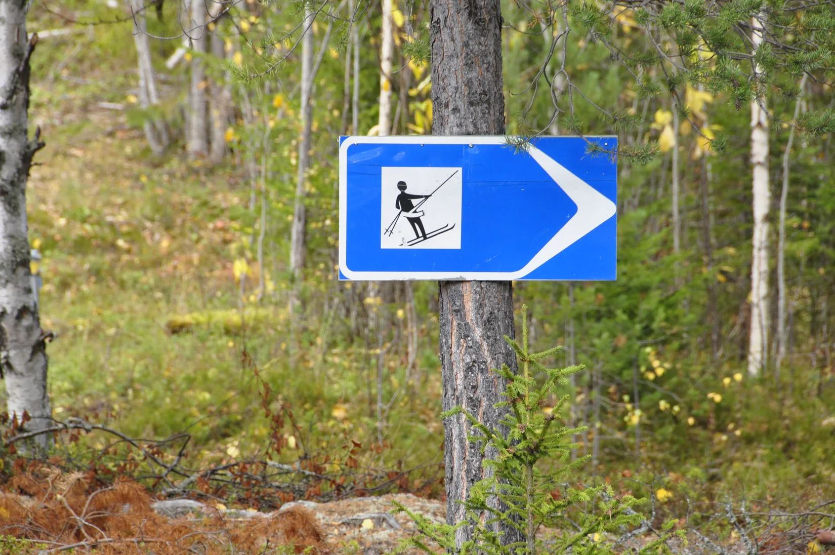 Bostadsrätt, Björnrike Björnvägen 78, Björnrike, Härjedalen