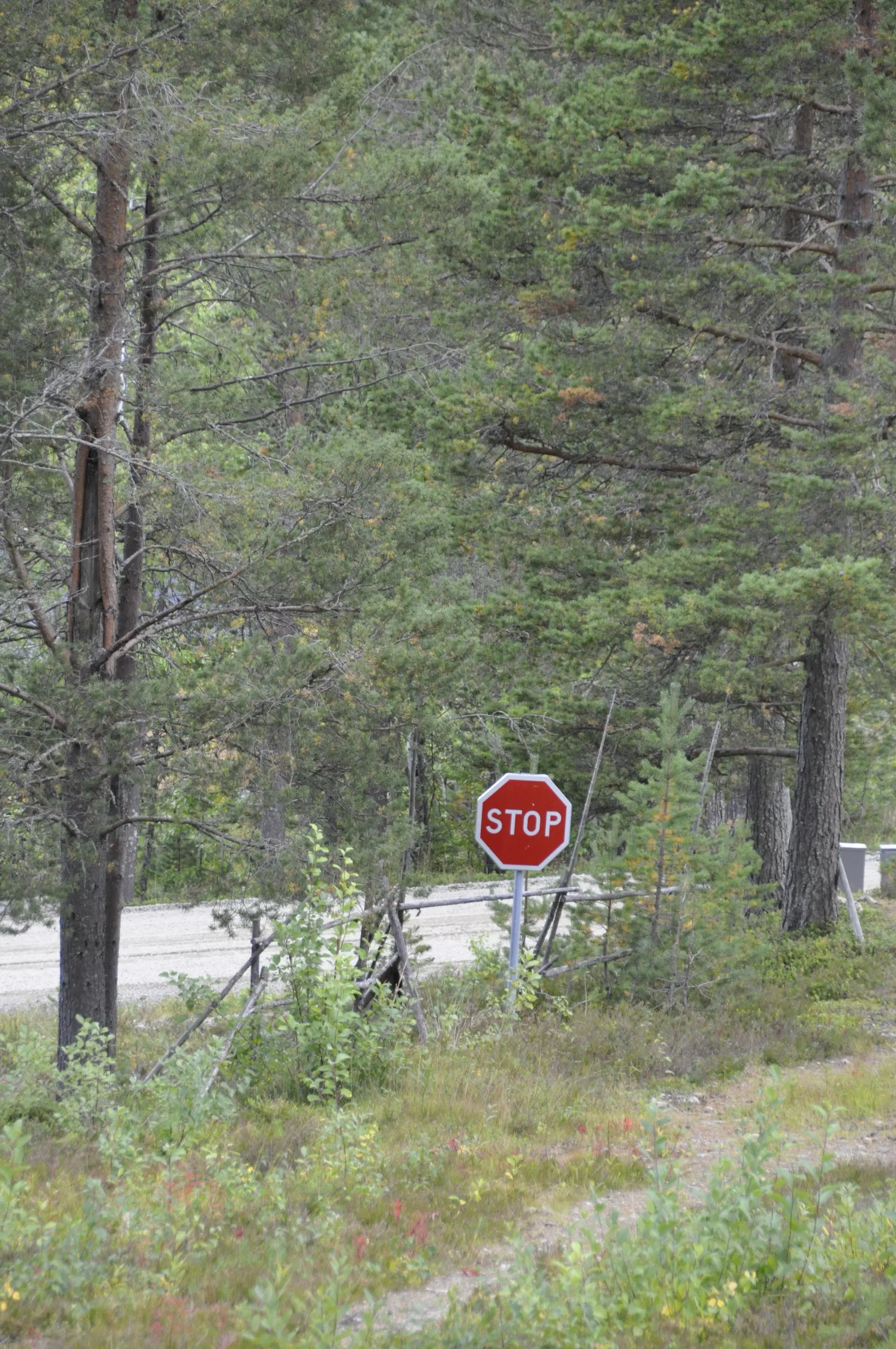 Bostadsrätt, Björnrike Tallstigen 20C, Björnrike - Vemdalen, Härjedalen
