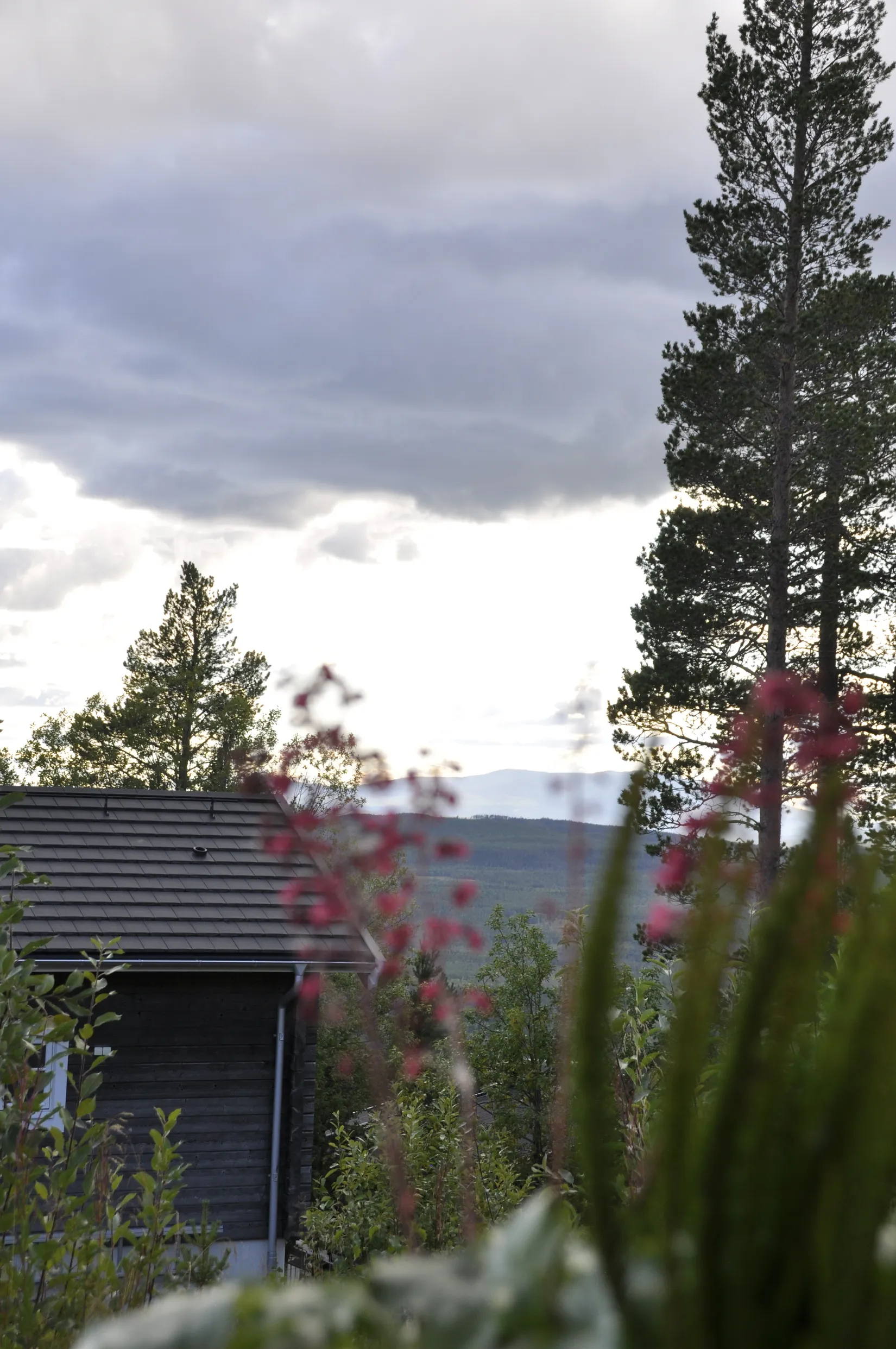 Bostadsrätt, Björnrike Tallstigen 20C, Björnrike - Vemdalen, Härjedalen