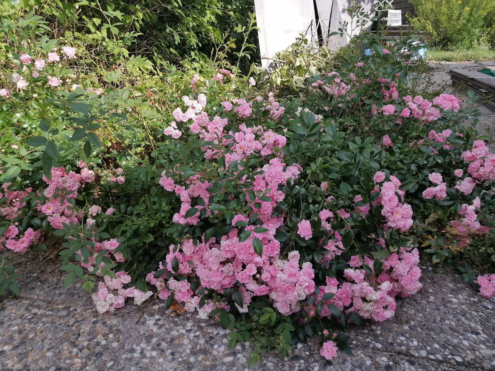 Fritidshus, Klarbärsvägen 242, Emmalunds koloniområde, Linköping