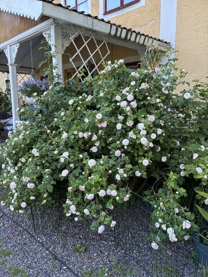 Villa, Grebo Kattorp, Grebo, Åtvidaberg