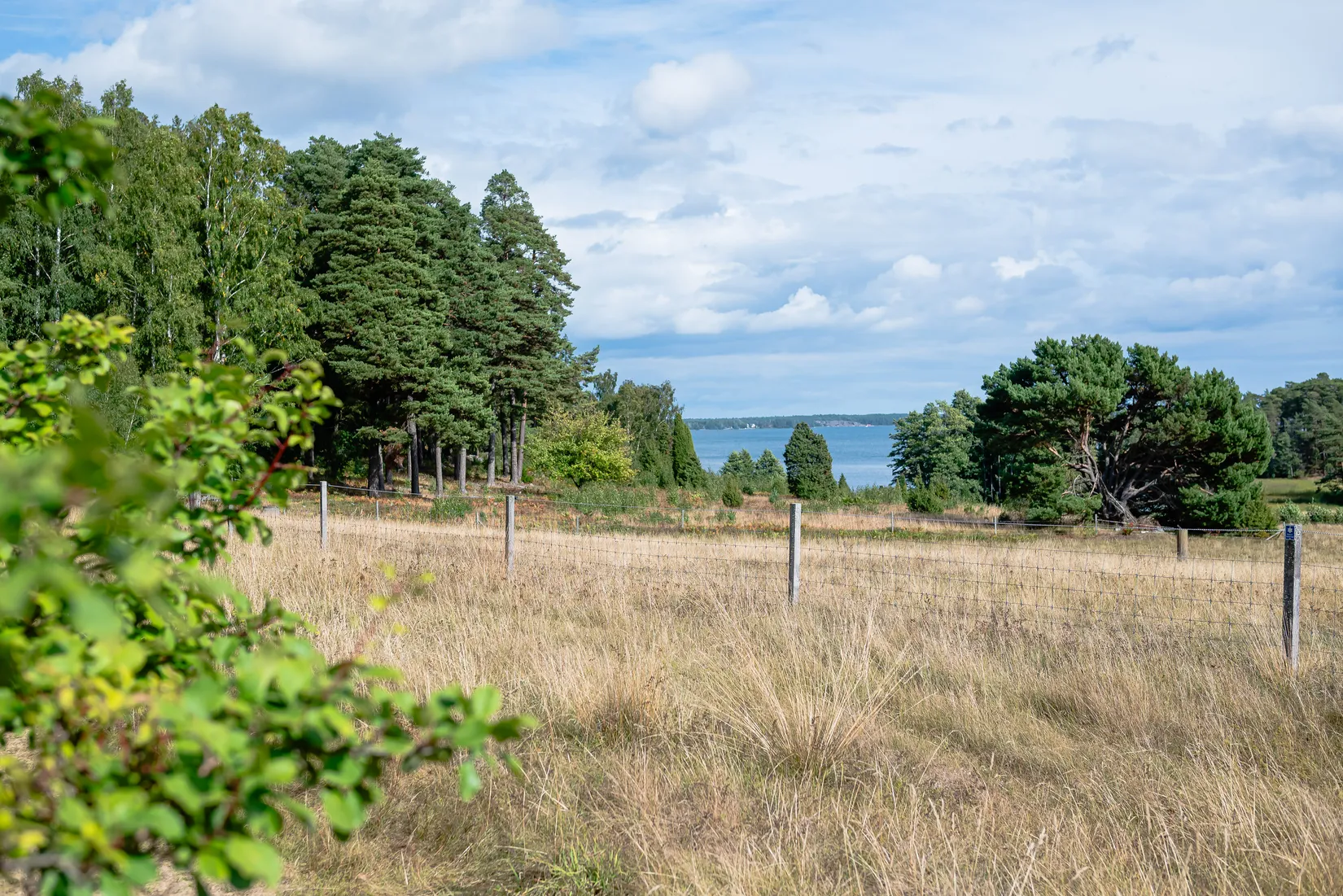 Villa, Hagavägen 10, Nyköping