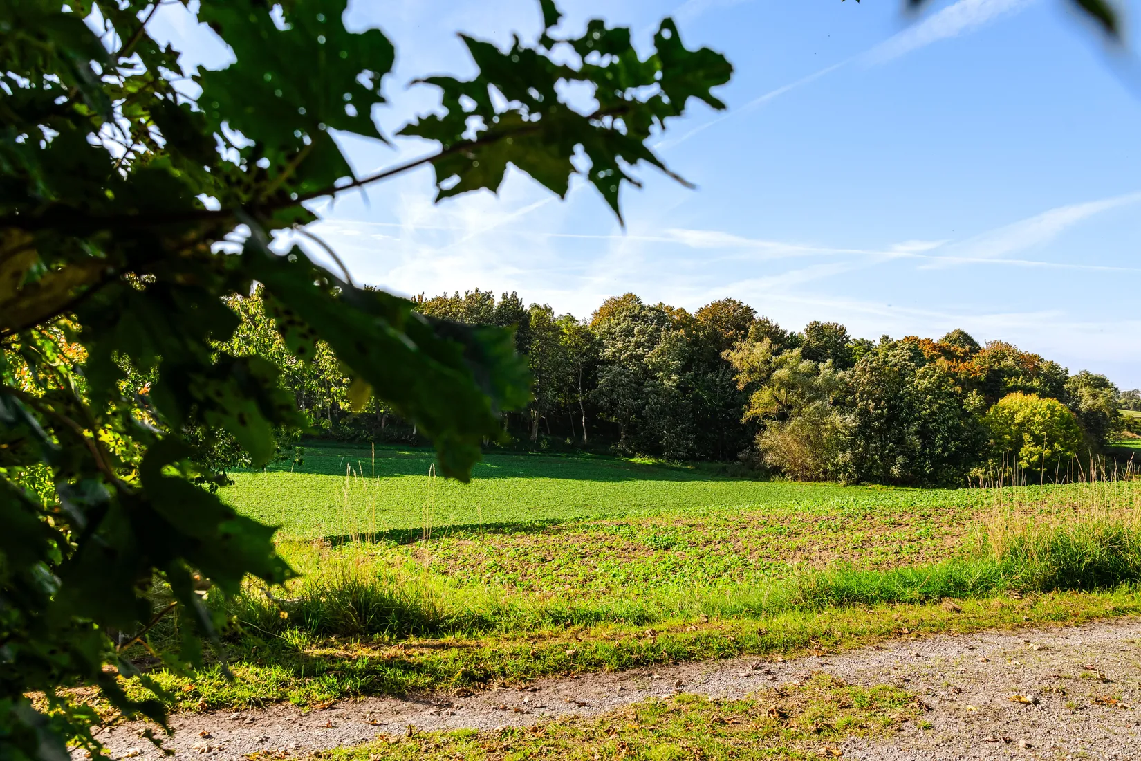 Villa, Längs med lugn grusväg på lantligt läge, Svenstorp, Ystad