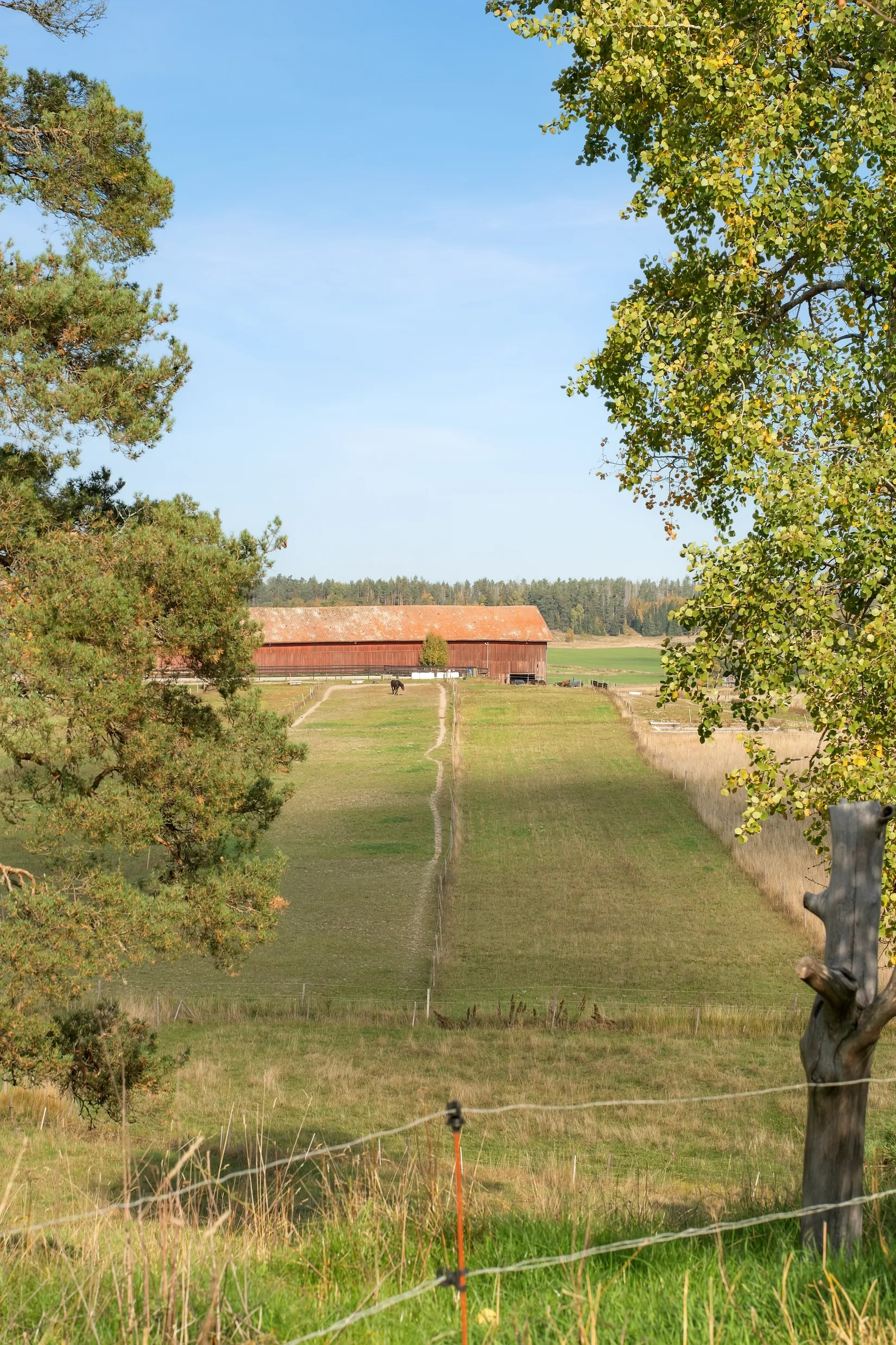Gård/Skog, Svärdbro Sörgården 1, Landet - Tystberga, Nyköping