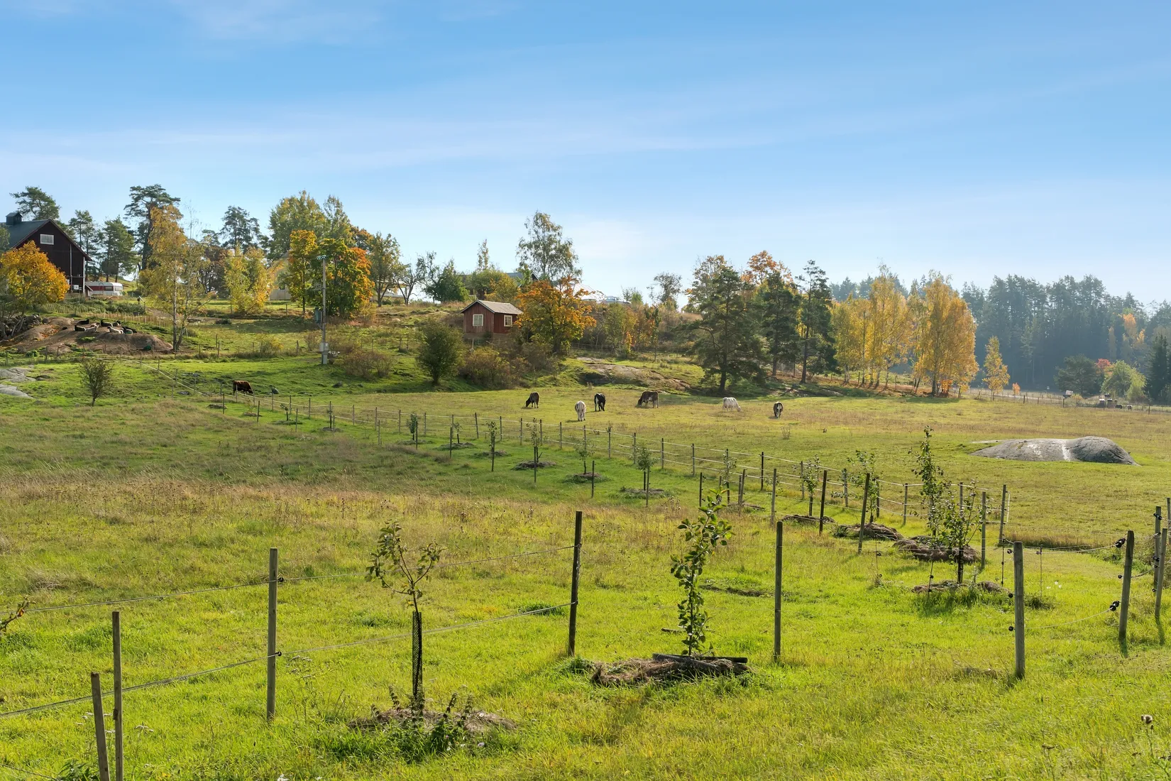 Gård/Skog, Svärdbro Sörgården 1, Landet - Tystberga, Nyköping