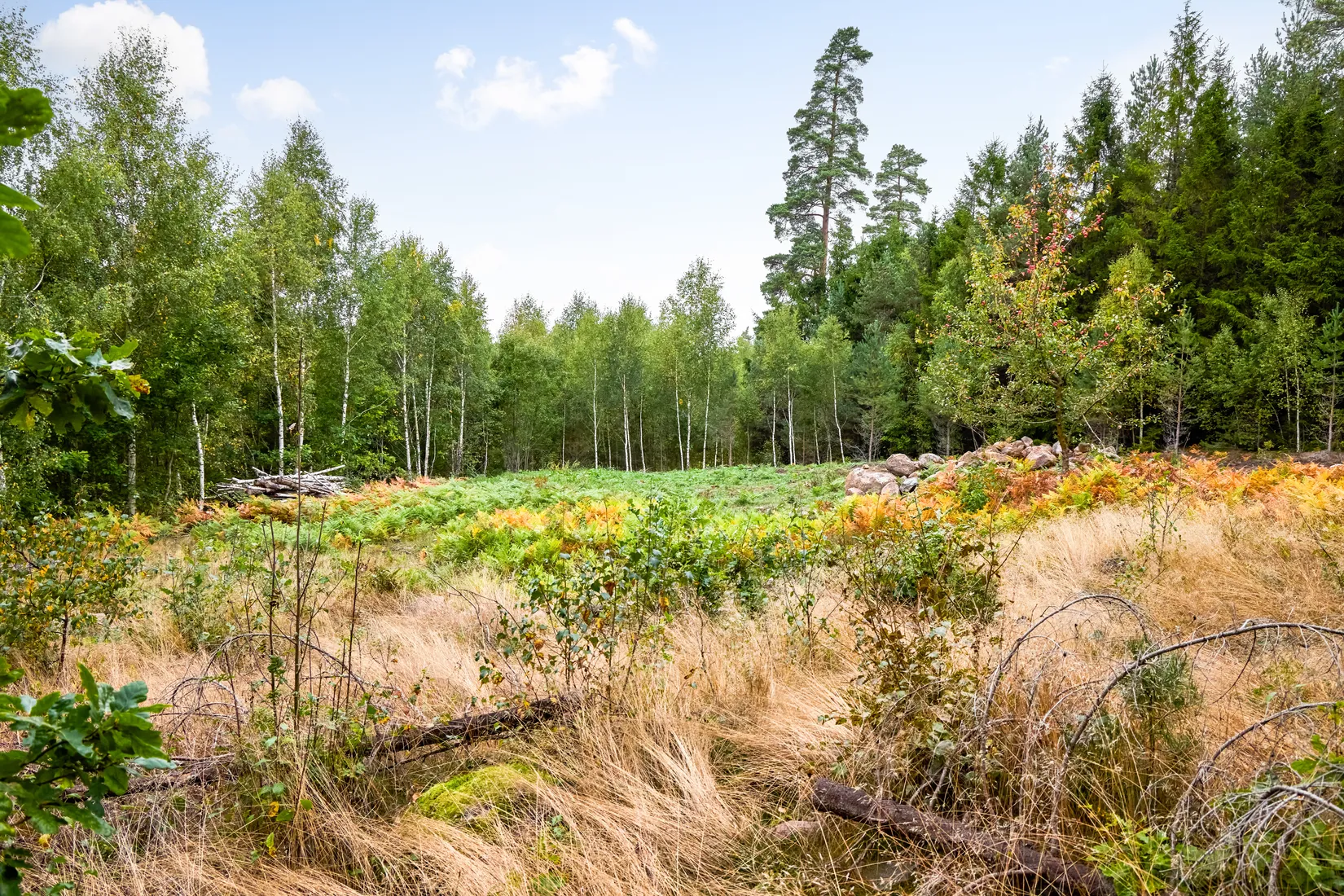 Tomt, Långaredsvägen Xx, Långared / Loo med omnejd, Alingsås