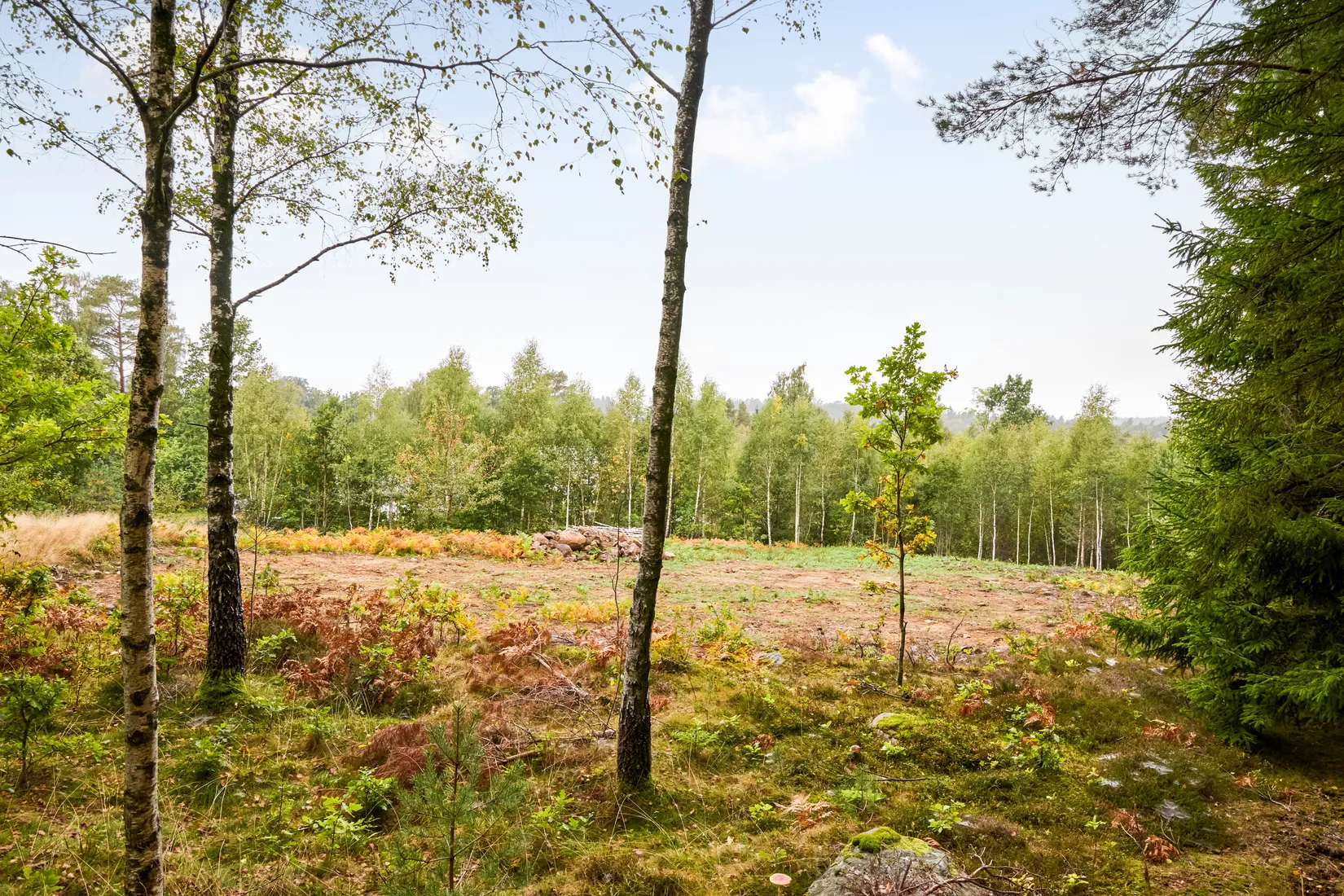 Tomt, Långaredsvägen Xx, Långared / Loo med omnejd, Alingsås