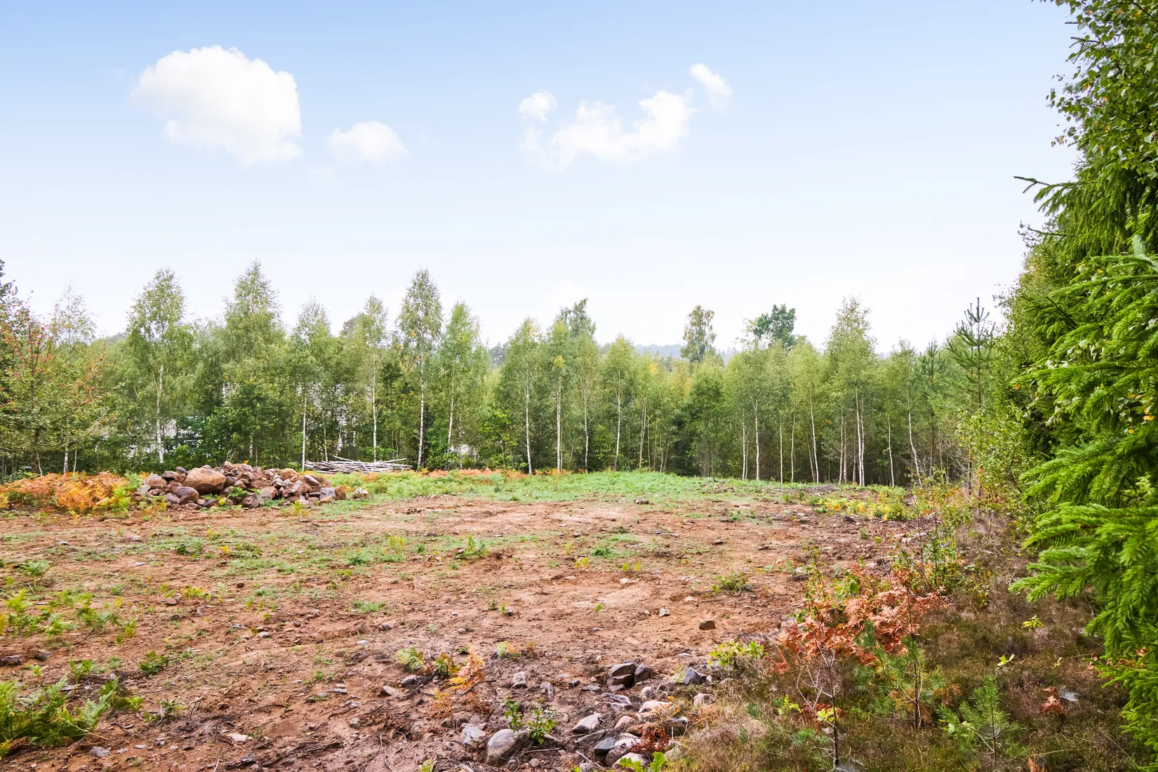 Tomt, Långaredsvägen Xx, Långared / Loo med omnejd, Alingsås