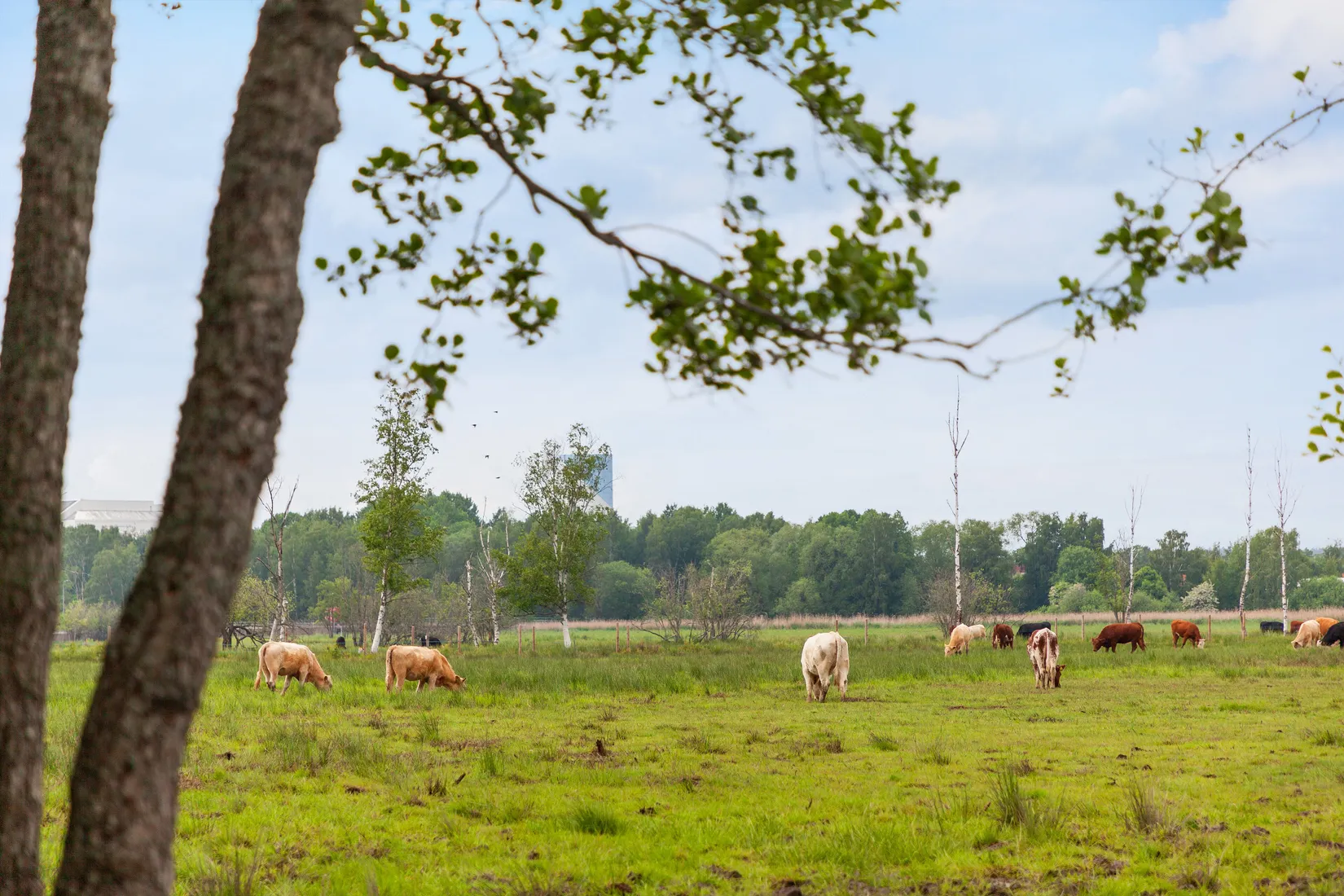 Radhus, Bastenshällsvägen 11, Arnö, Nyköping
