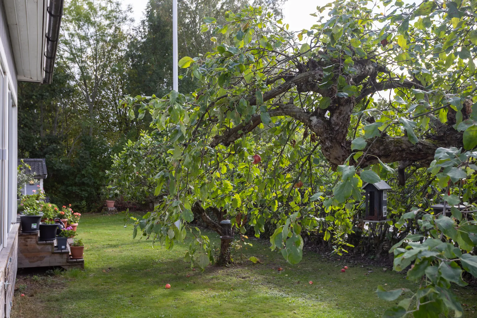Villa, Domargatan 12, Dingtuna, Västerås