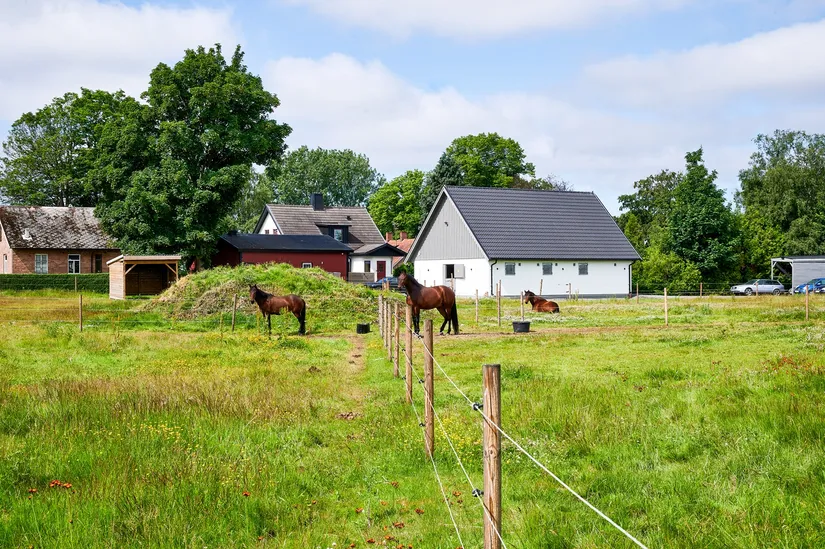 Gård/Skog, Hjortshögsvägen 319, Mörarp