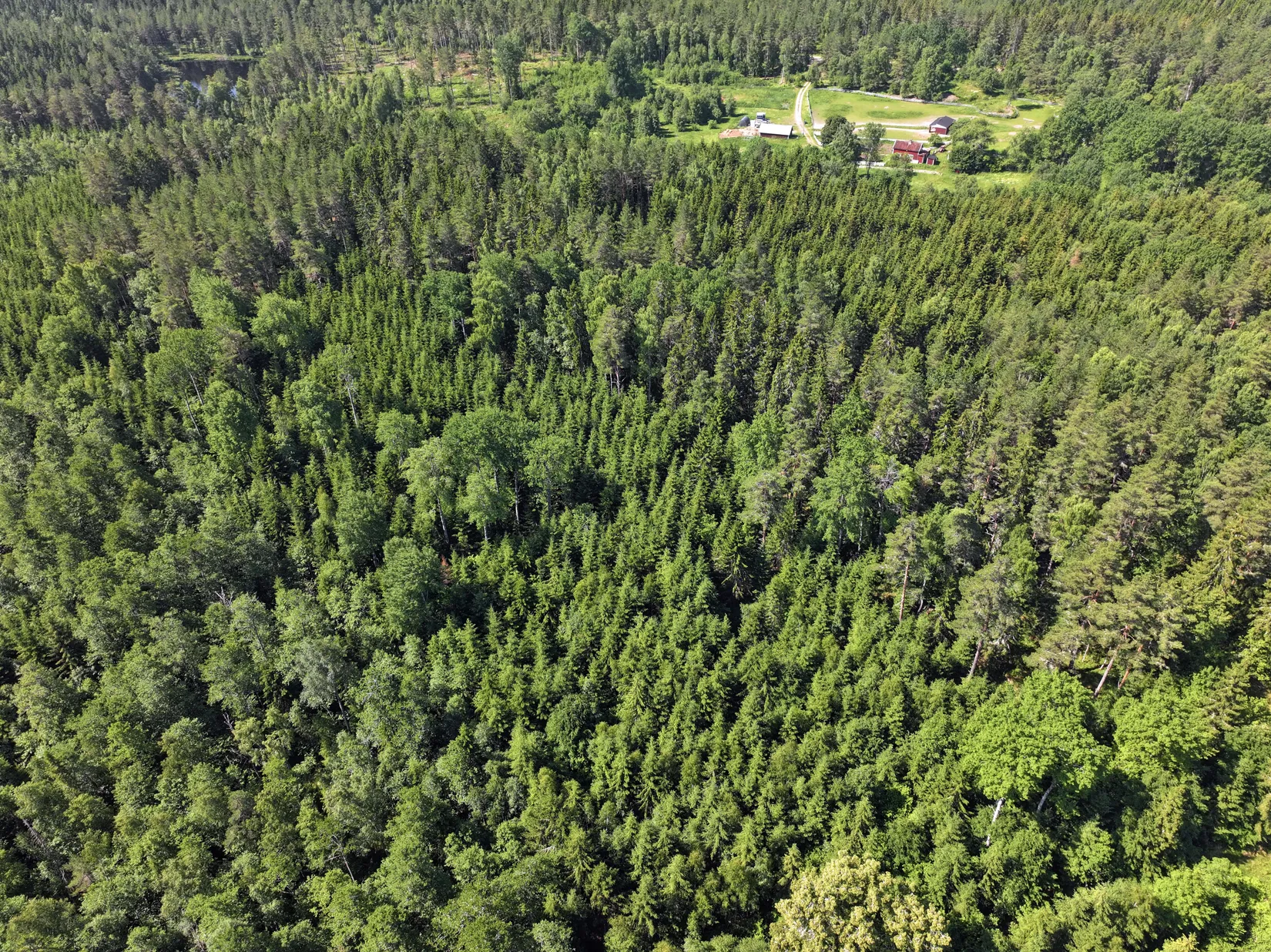 Gård/Skog, Trehörna Fågeltorp 1, Ödeshög
