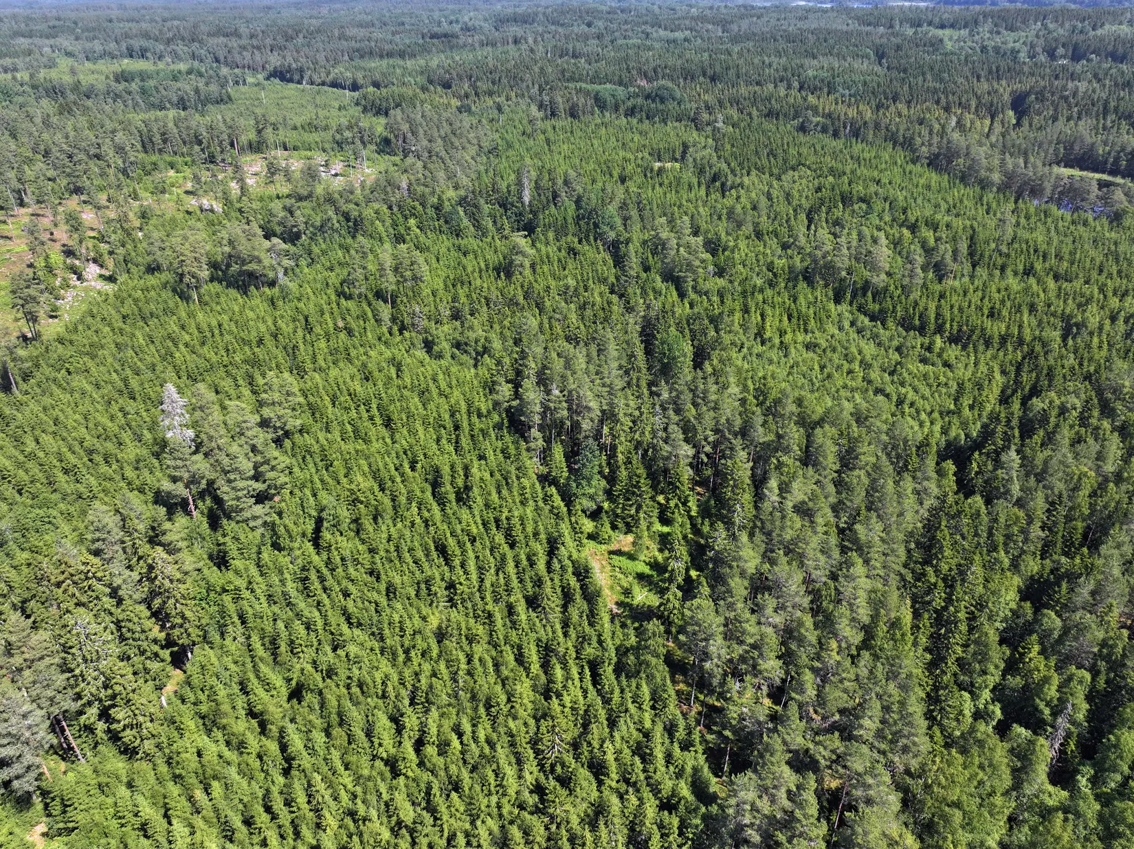 Gård/Skog, Trehörna Fågeltorp 1, Ödeshög