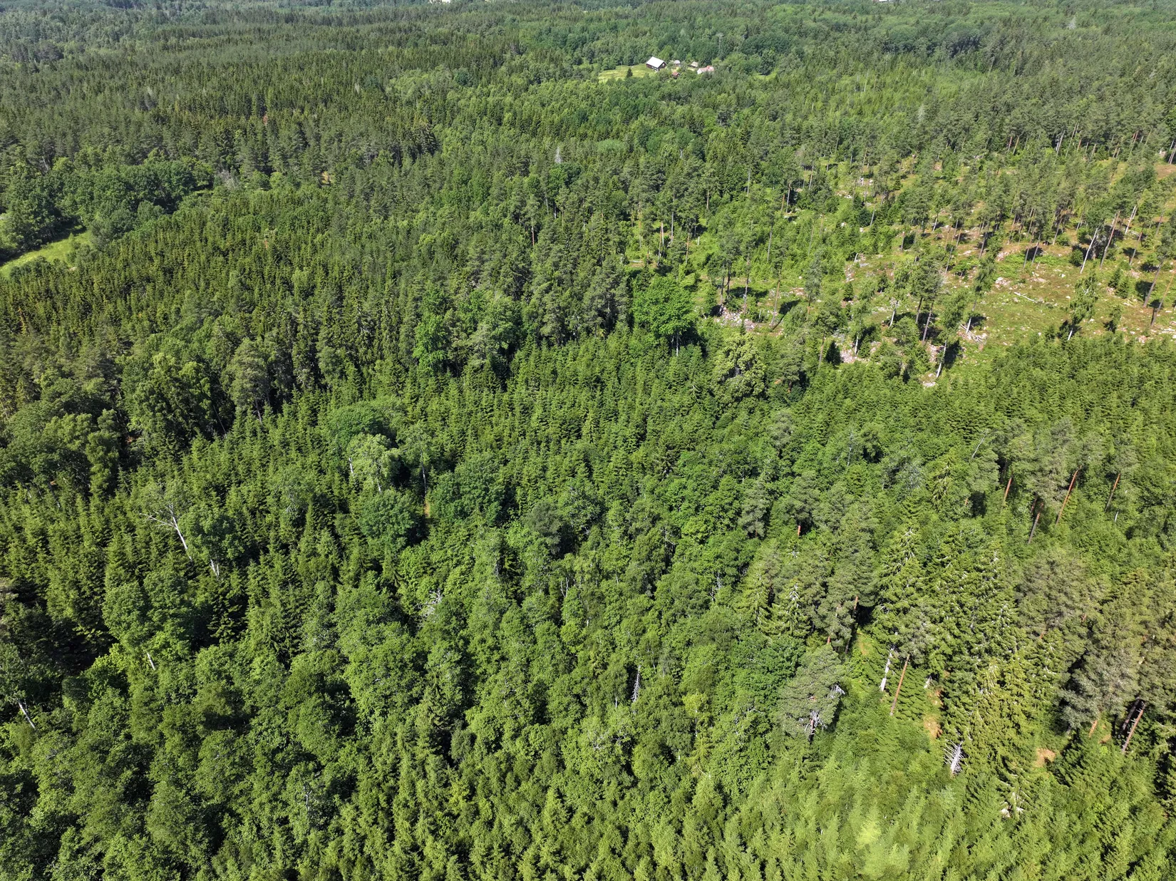 Gård/Skog, Trehörna Fågeltorp 1, Ödeshög