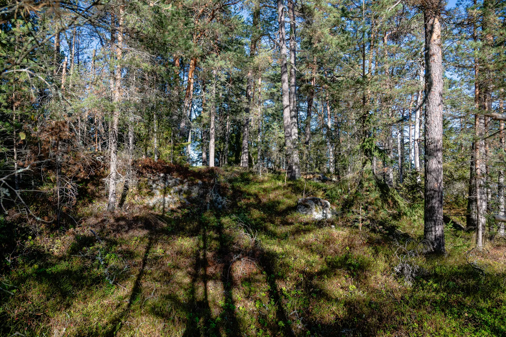 Villa, Knektuddsvägen 47, Österåker