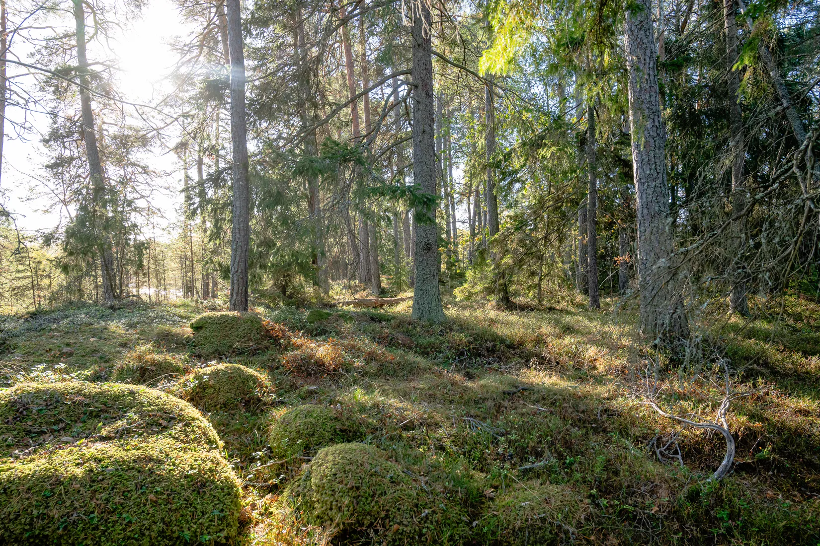 Villa, Knektuddsvägen 47, Österåker