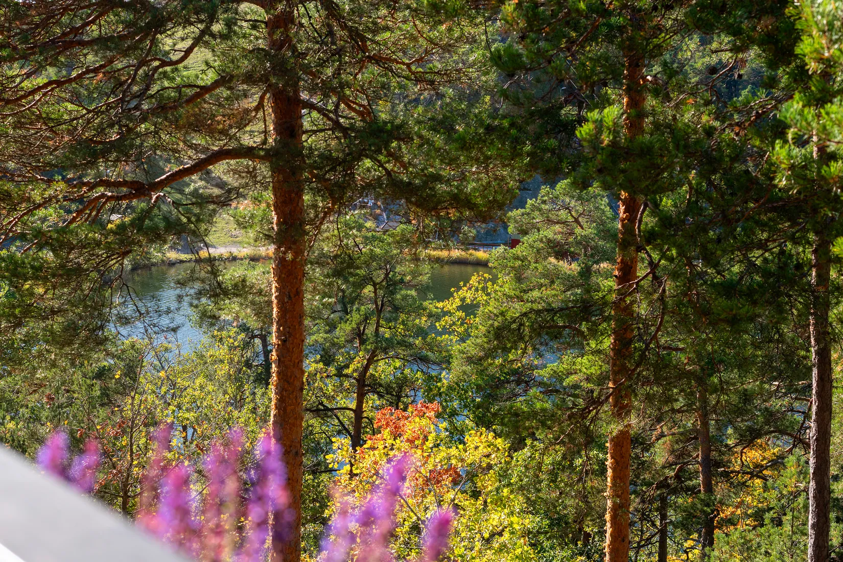 Bostadsrätt, Karl Gerhards väg 29, Saltsjöbaden, Nacka