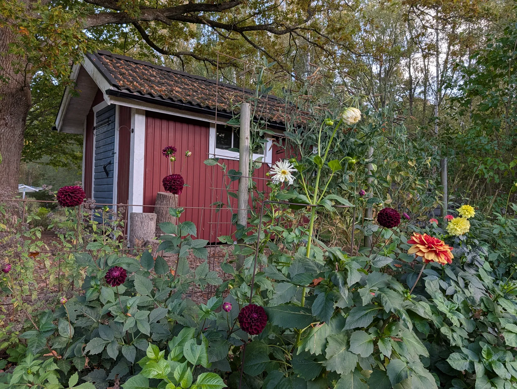 Villa, Illervägen 12, Tingsryd
