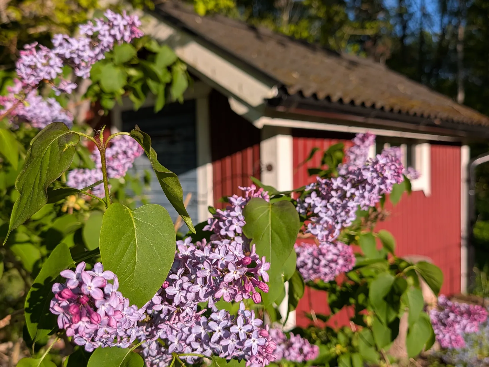 Villa, Illervägen 12, Tingsryd
