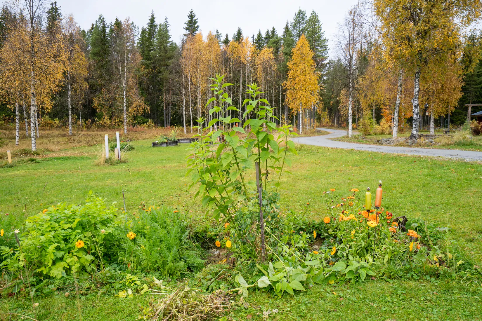 Gård/Skog, Avasund 106, Storuman