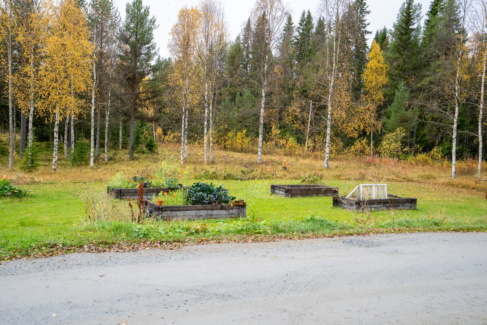 Gård/Skog, Avasund 106, Storuman